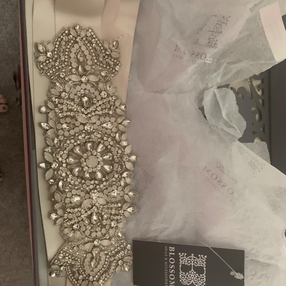 Mikeala wedding dress and belt - Picture 7 of 12